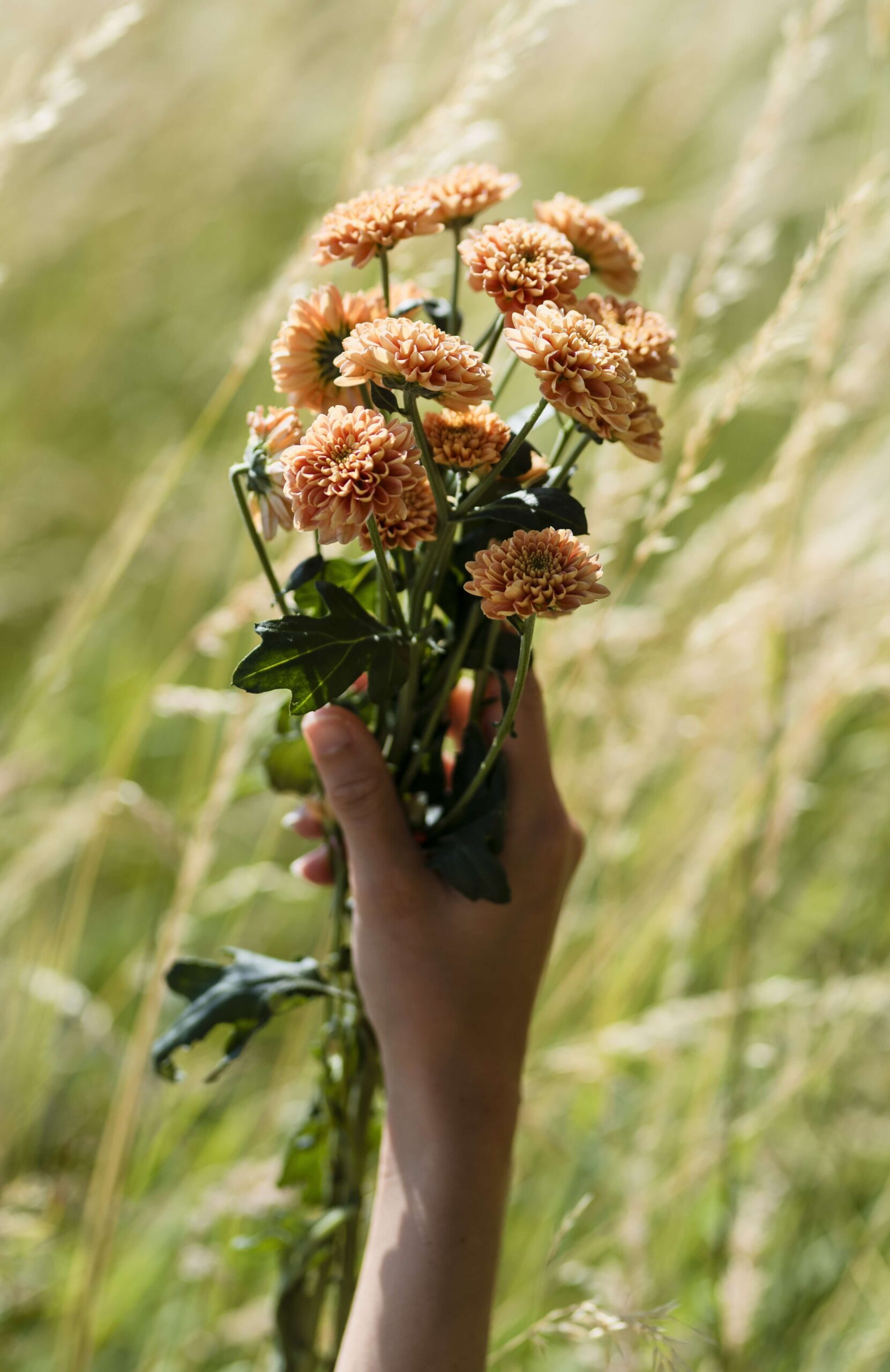 side-view-hand-holding-flowers-bouquet (2) side-view-hand-holding-flowers-bouquet (2)